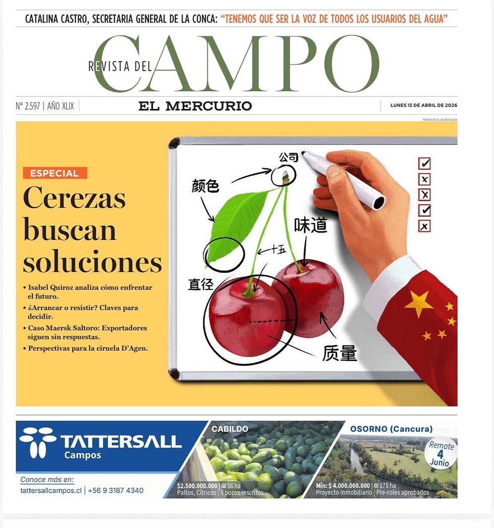 caso Maersk Saltoro cerezas