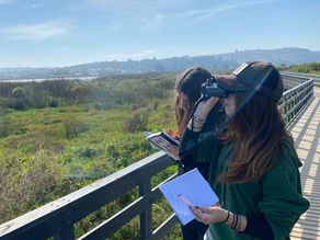 Estudiantes CICE revelan hallazgos clave sobre influenza aviar en el Humedal del Río Maipo