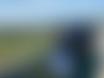 Estudiantes CICE revelan hallazgos clave sobre influenza aviar en el Humedal del Río Maipo