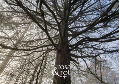 Workshop “Geh dich frei im allwissenden Feld”