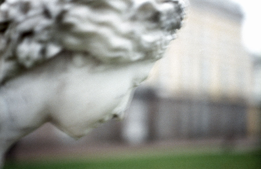 img_004.jpg