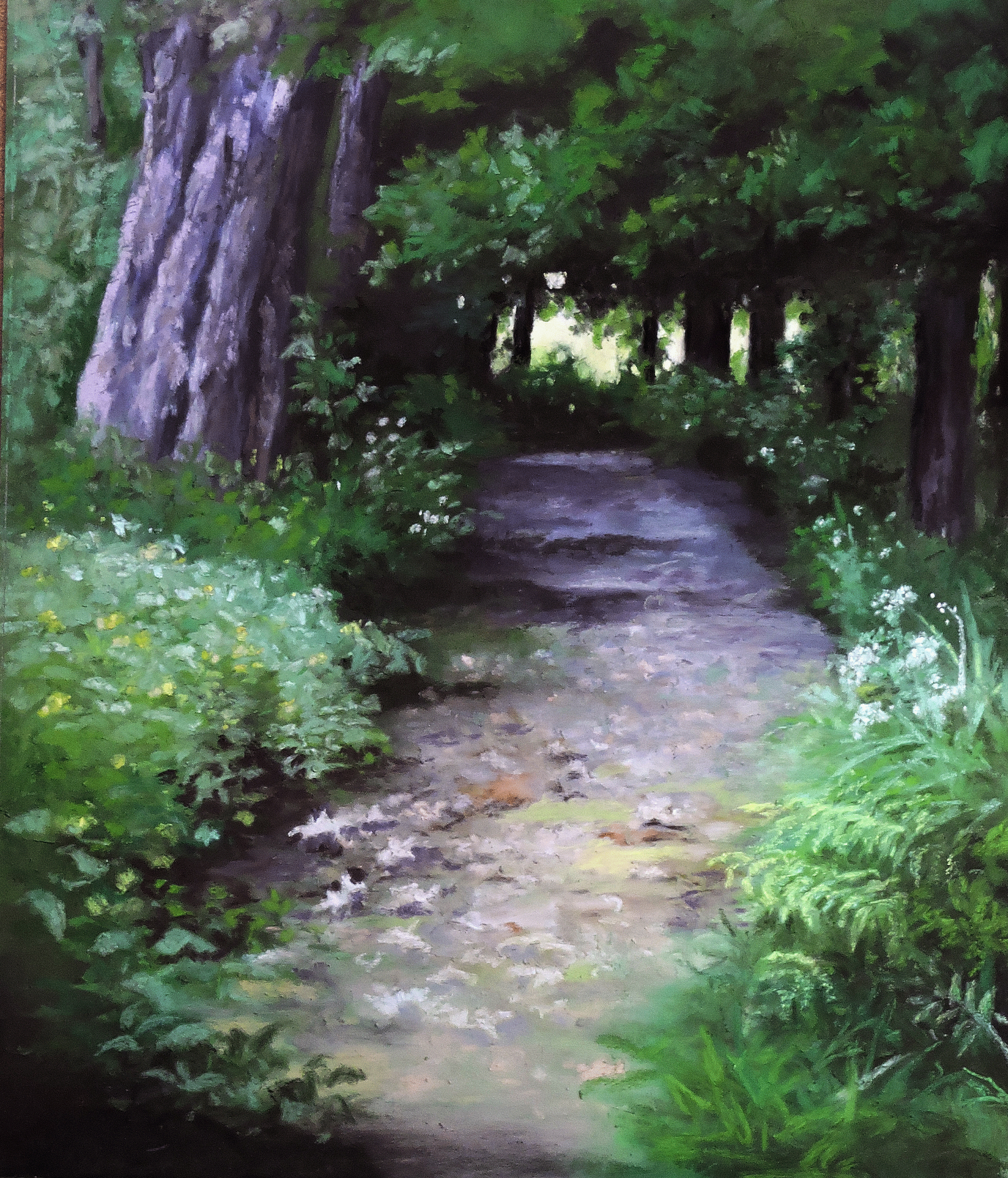 INTO THE WOODS