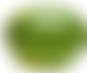 Grace in the Watermelon Patch