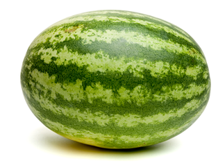 Blida, Algeria Sends First Shipment of Watermelons to France, Strengthening Agricultural Exports