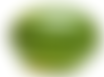 Blida, Algeria Sends First Shipment of Watermelons to France, Strengthening Agricultural Exports