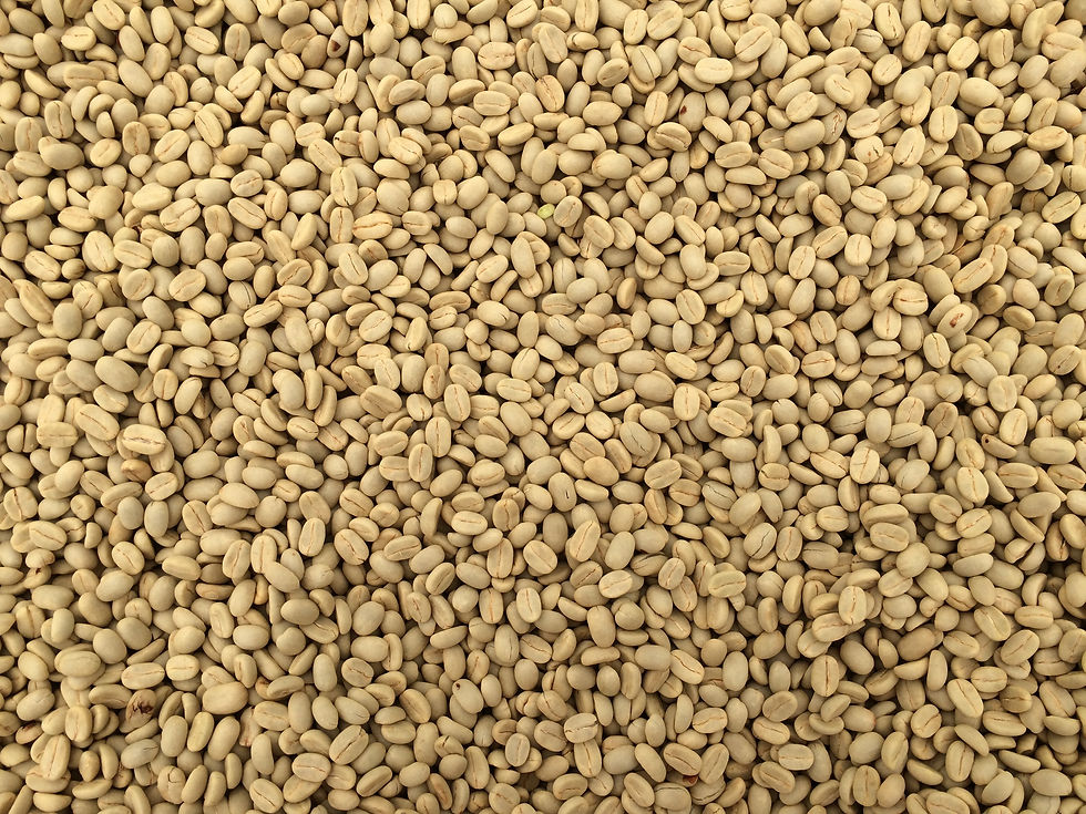 Parchment Coffee
