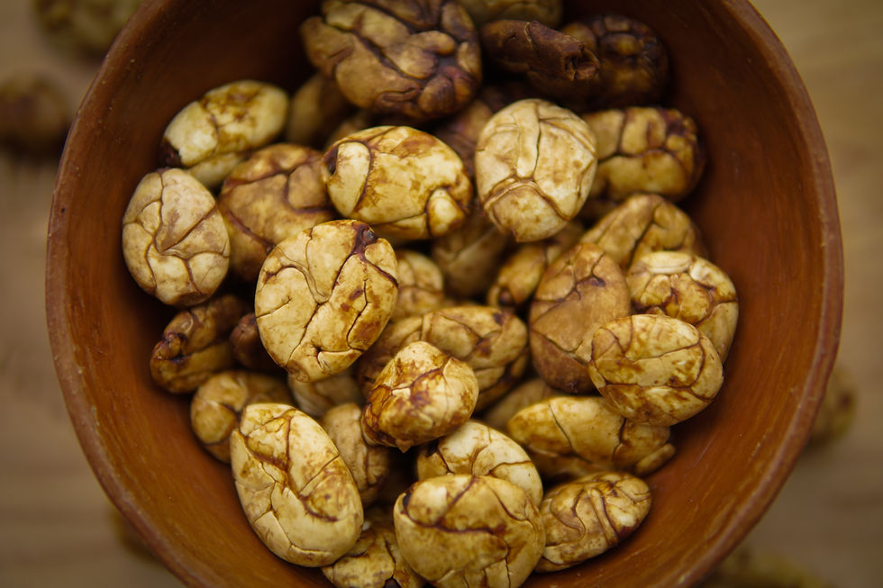 Thumbnail: Umami Macambo Beans