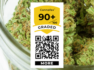 PART 3: What Cannabis Consumers Really Want—and How to Deliver It