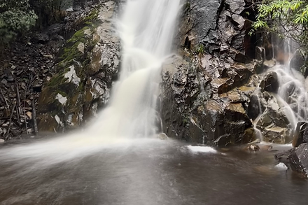 Steavenson Falls tourism photography