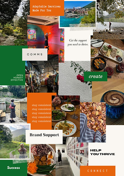 Website MoodBoard.png