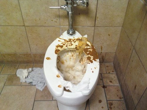 Toilet Backed Up - Unclog It