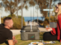 BBQ Picnic page for FB.png