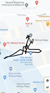dog walk Tracking 