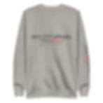 Thumbnail: Dice city apparel the world tour collection Unisex Premium Sweatshirt