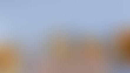 De ce generațiile moderne gătesc mai puțin?