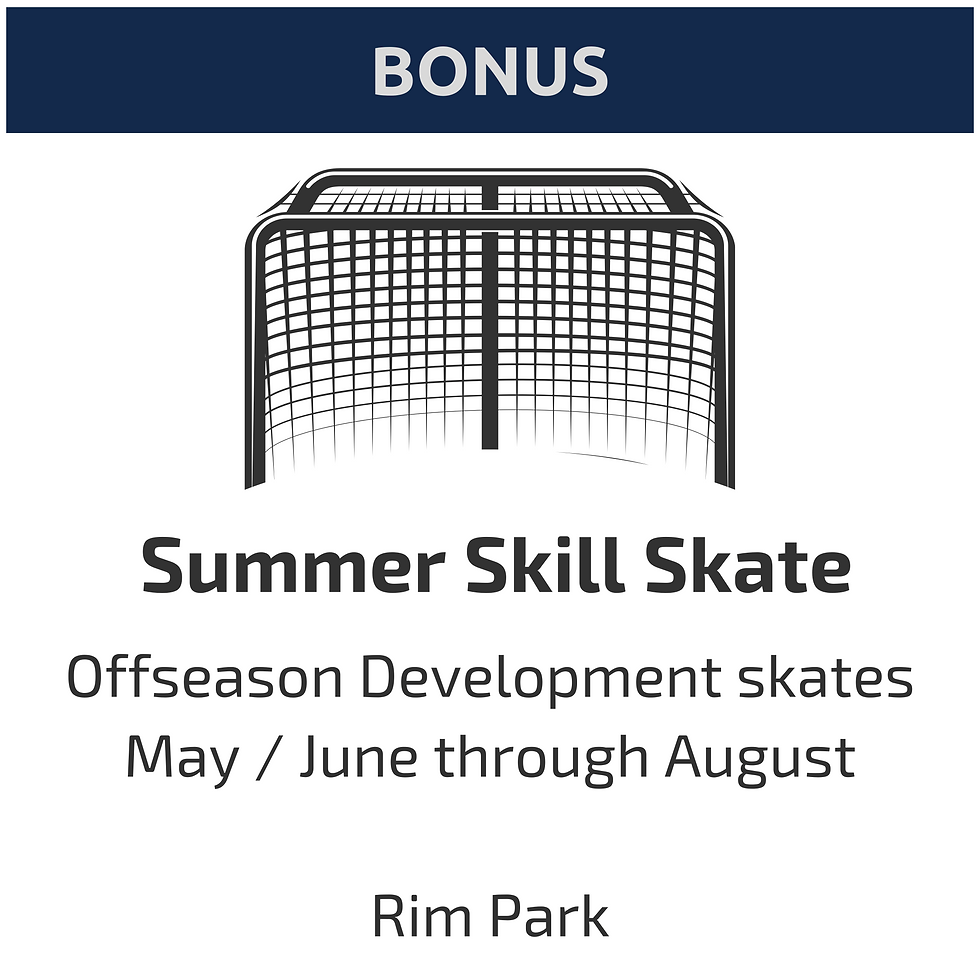 Summer Skill Skates