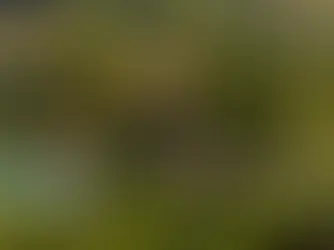 Hyr en villa i Södra Europa i sommar!