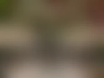 Marocko – mer än bara Marrakech