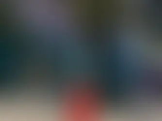 Claras resa i Florida