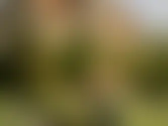 Längtar du till den engelska landsbygden? Här är våra favorithotell för en lantlig paus