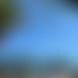 Claras måsten i Cannes