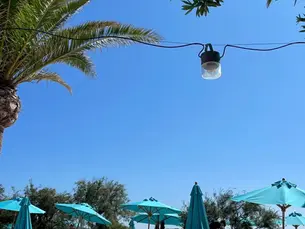 Claras måsten i Cannes