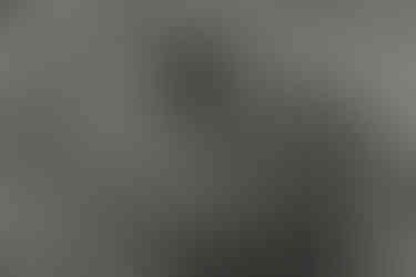 jegyes fotózás Koppenhágában tavasszal Dániában