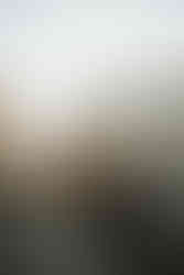 jegyes fotózás Koppenhágában tavasszal Dániában