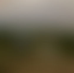 Ezek a leggyakoribb tévhitek családi fotózással kapcsolatban 