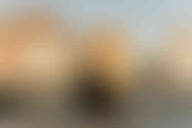 jegyes fotózás Koppenhágában tavasszal Dániában