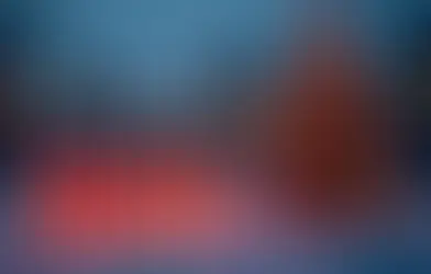 Un lien entre le nazisme et Noël ?