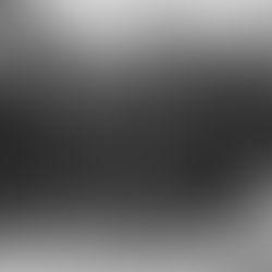 Le 6 juin 1944 : le dessous des cartes