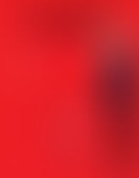 Les manipulations de l’internationale immigrationniste