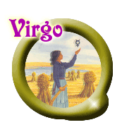 virgbigbutton.gif