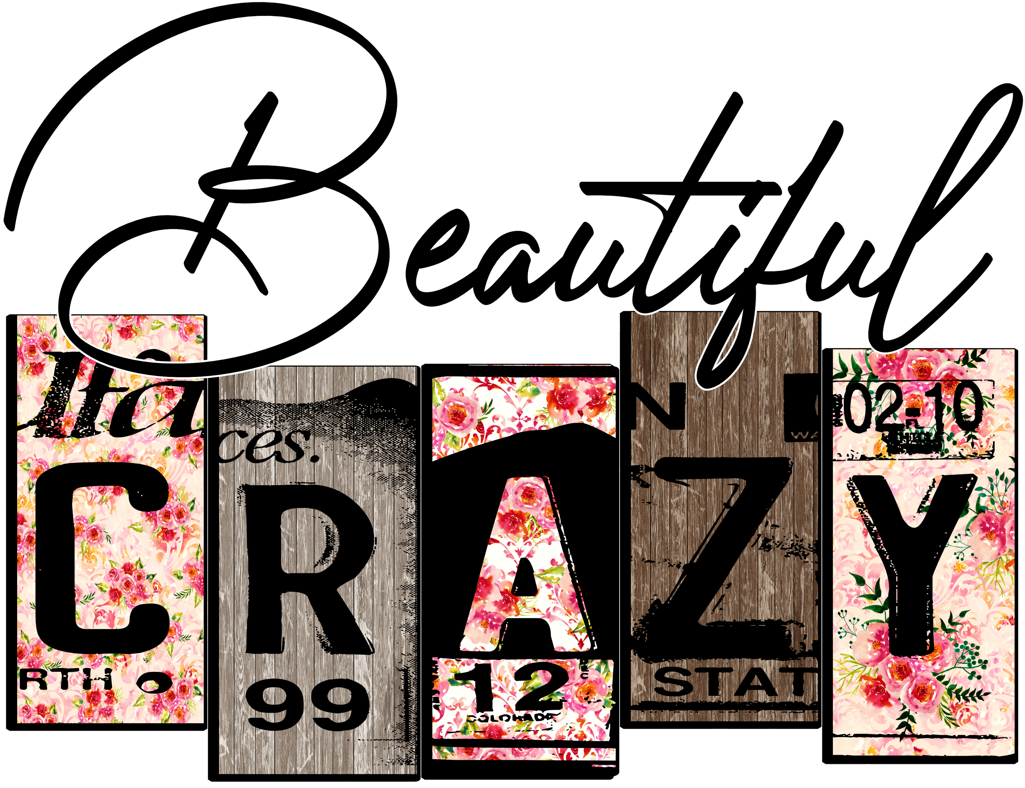 13415 Beautiful Crazy