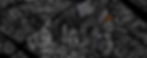 fundo WIX 4.jpg