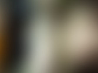 Product Owner CRM - Zaltbommel