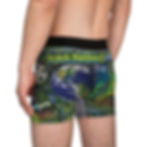 (Earth) Green, Draco Unit, Men's Boxers