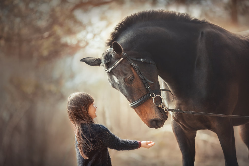 AdobeStock_335043177.jpeg