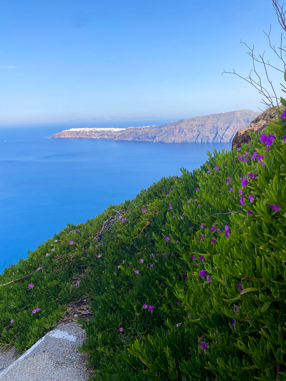 rich green grass with purple flowers along hillside with blue see and peninsula beyond — travel photography by Shutter & Sojourn