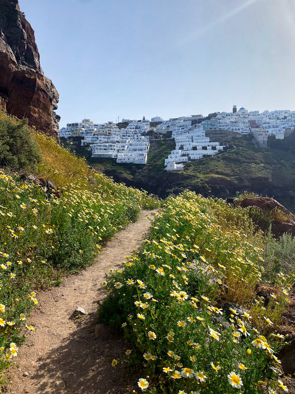 dirt path surrounded by blooming white and yellow flowers leading to white stucco buildings on the mountainside — travel photography by Shutter & Sojourn