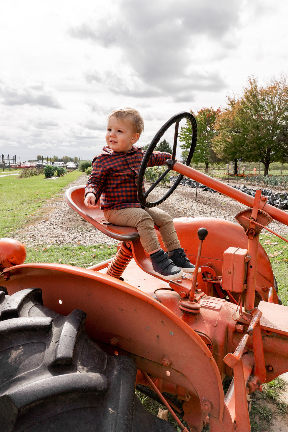toddler sitting on red tractor and driving at pumpkin patch — family photography by Shutter & Sojourn