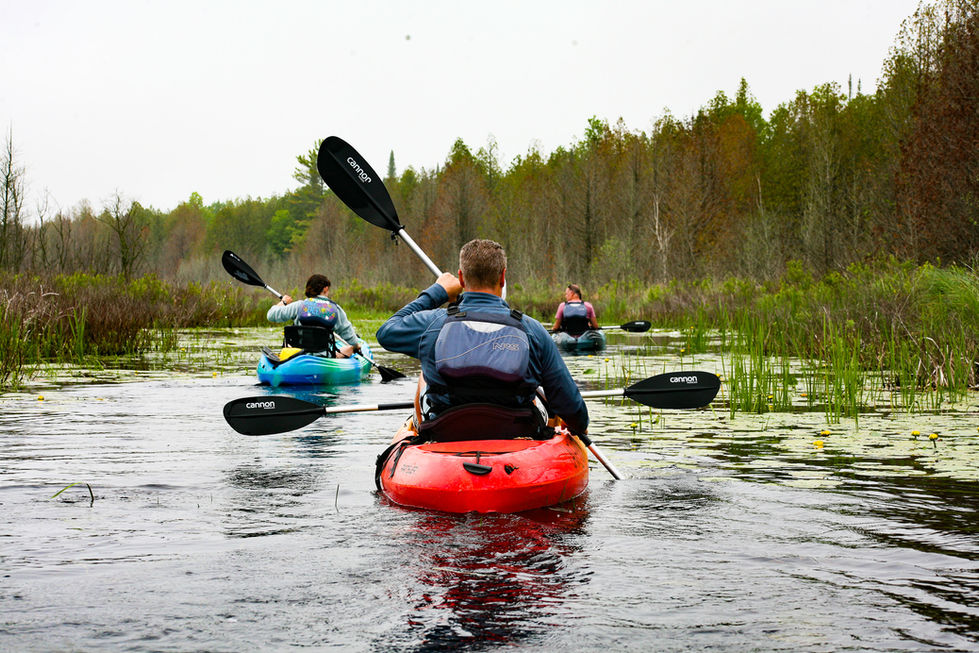 kayakers on inland lake paddling through cat tails and lily pads — tour photography by Shutter & Sojourn