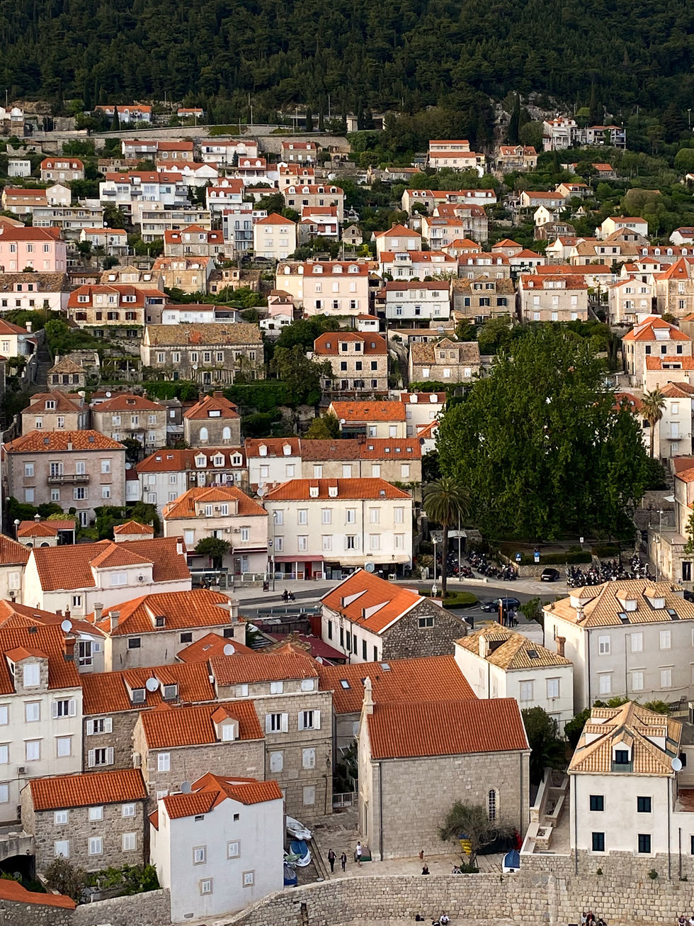 Old Town Dubrovnik Croatia city buildings with orange roofs and green trees — travel photography by Shutter & Sojourn