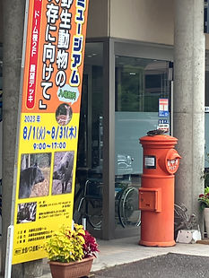 2023-08-10 10.03.35.jpg