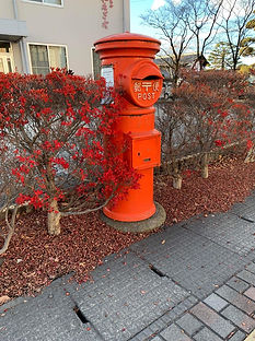 2022-11-26 16.07.17.jpg