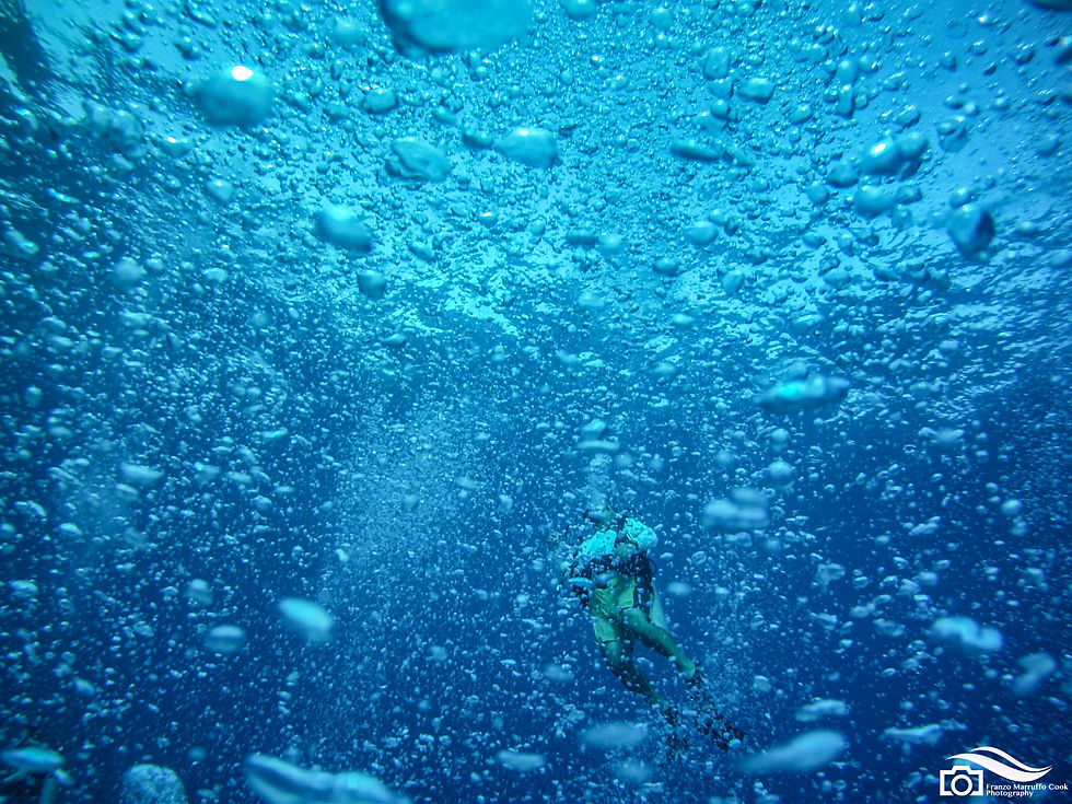 01012011-AMBA0116-1