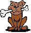 image1.gif