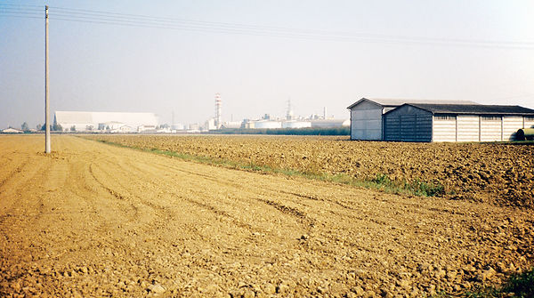Minerbio
