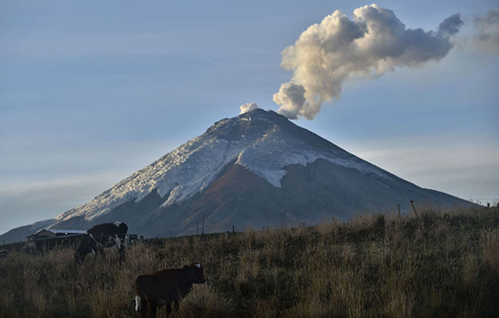 CONTAMINACION NATURAL.jpg